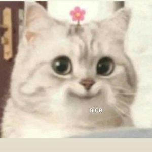 Meet your Posher, Anandi